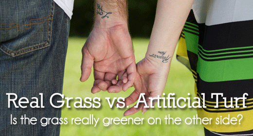 Is the grass really greener on the other side?